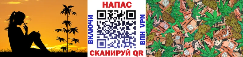 Купить  Сургут  Каннабис VHQ 